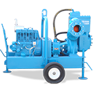 GP 150M General Purpose Pump