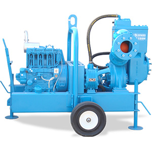 GP 150M General Purpose Pump Angle View