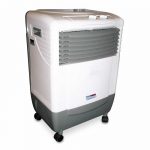 Little Cooler